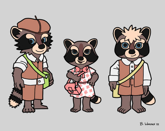 Raccoon Book: Concept
