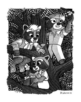 Raccoon Book